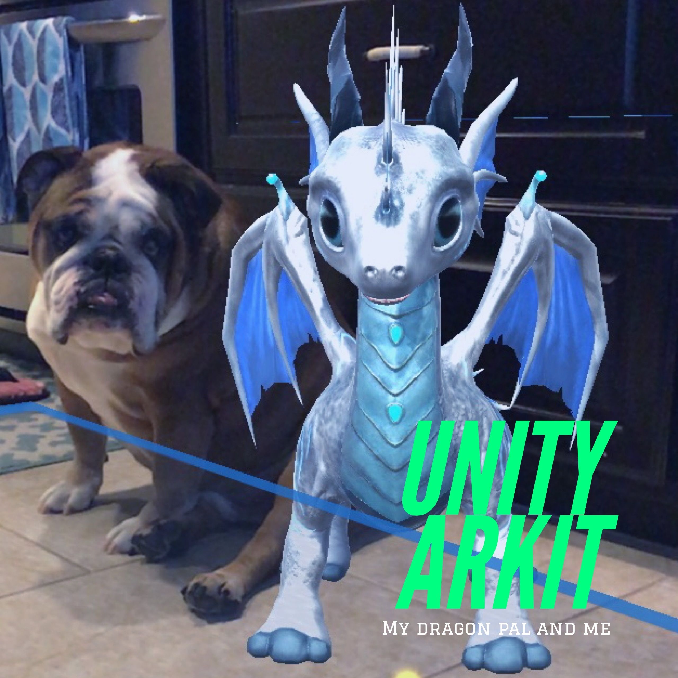 My Dragon Pal and Me