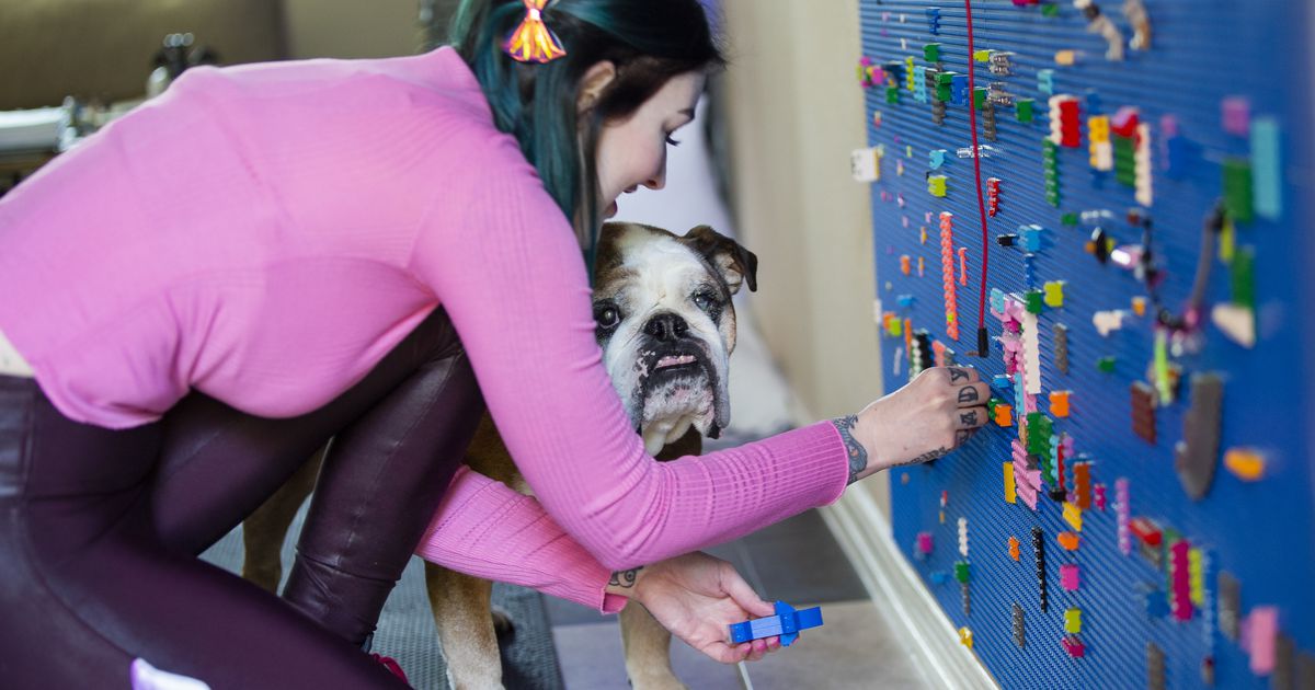 ‘LEGO Masters’ star and Dallas software engineer Amie Dansby aims to smash STEM stereotypes