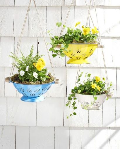 plants hanging from colofrul colanders