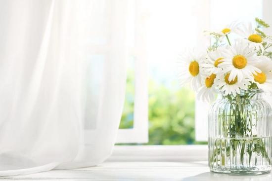 Budget Curtains That Don’t Sacrifice Style