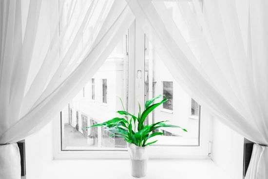 What’s the Difference Between Curtains and Drapes? How to Choose the Right Look for Your Home