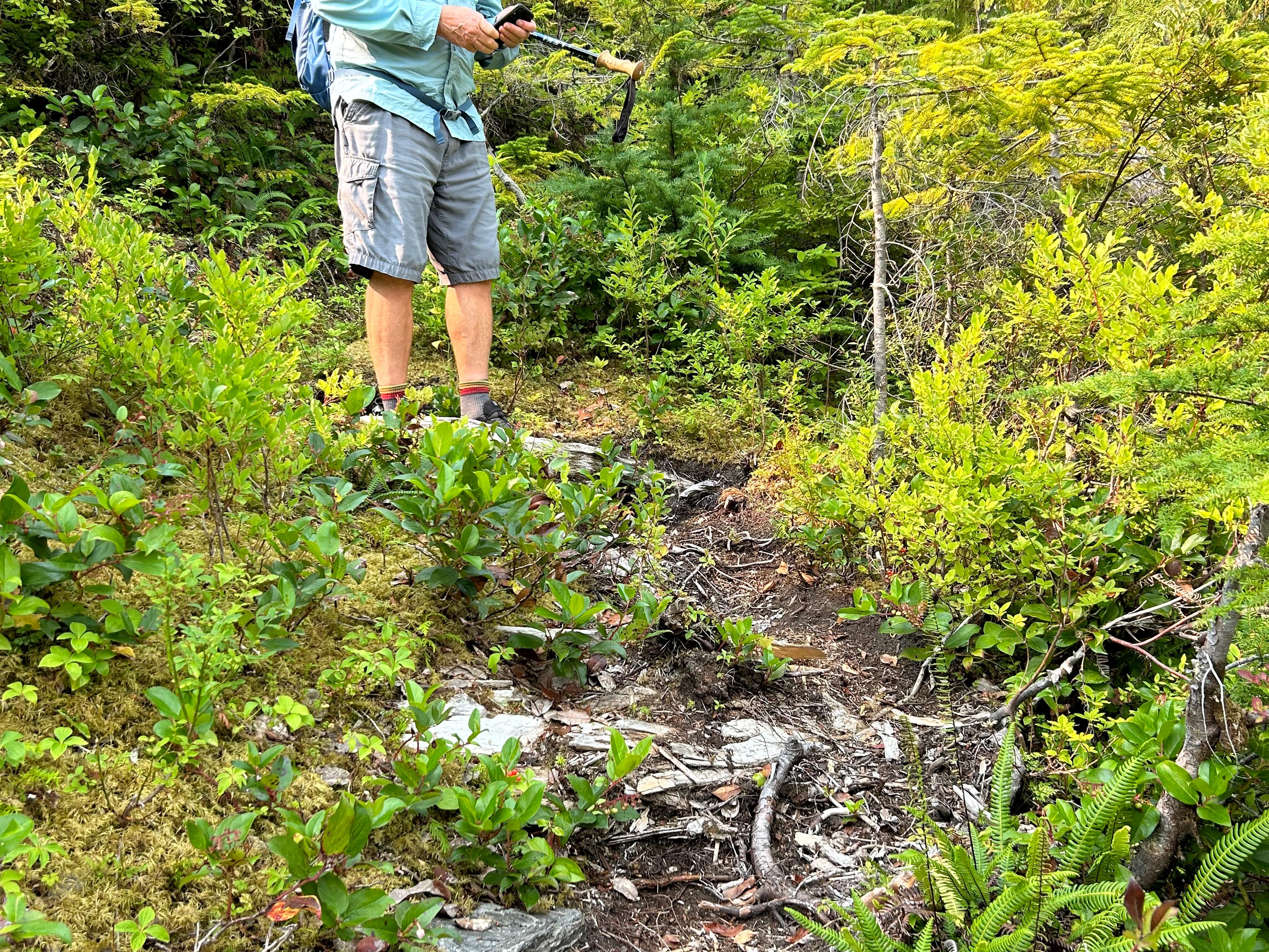 The path was easy to follow but windy with lots of up and down.