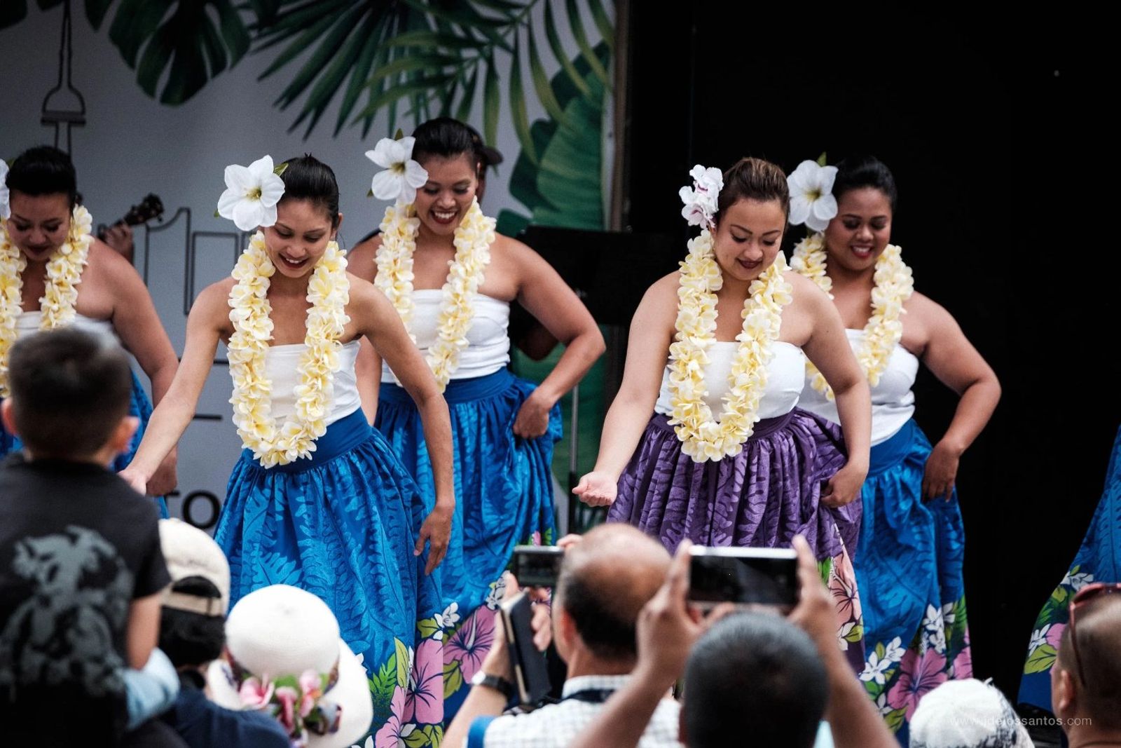 Hālau dancers in flowing pāʻū during a bent-knee movement