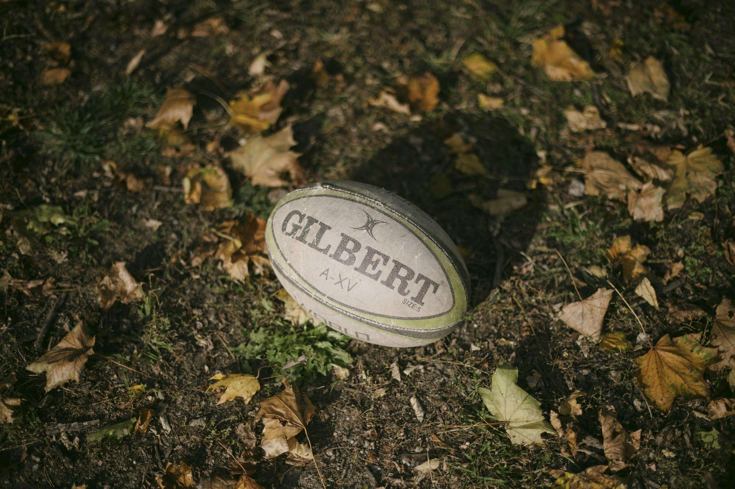 A rugby ball on the ground among fallen leaves
