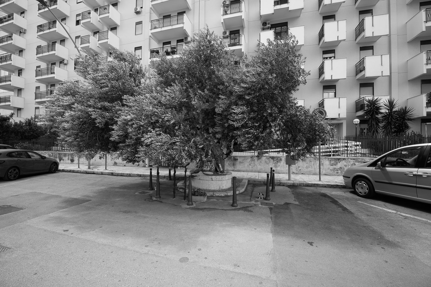 Project image 15