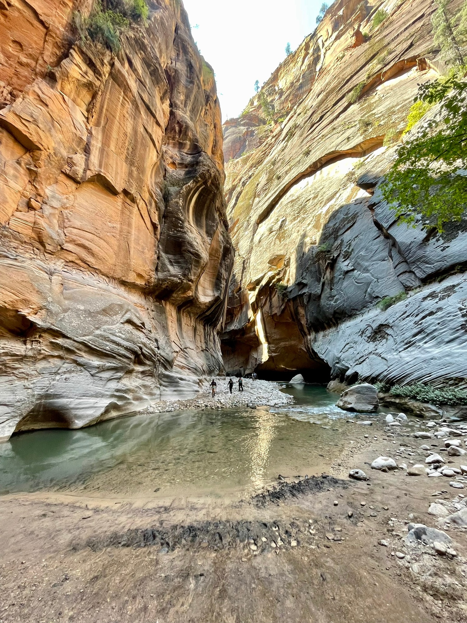 Tall sandstone canyon walls surrounding a calm green pool and rocky shoreline in the Narrows at Zion National Park.