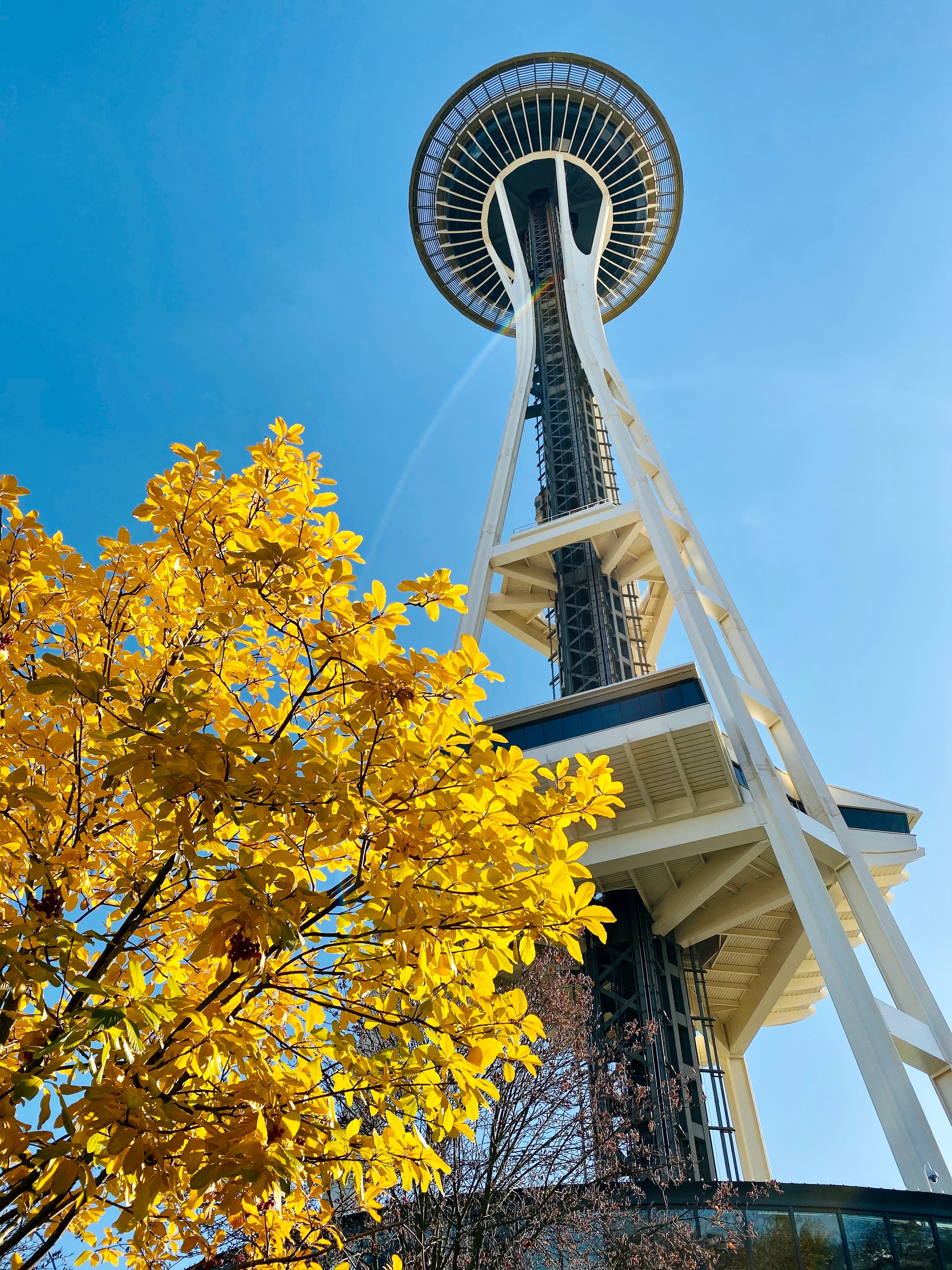 Low-angle view of Seattle’s Space Needle framed by golden autumn leaves against a clear blue sky.