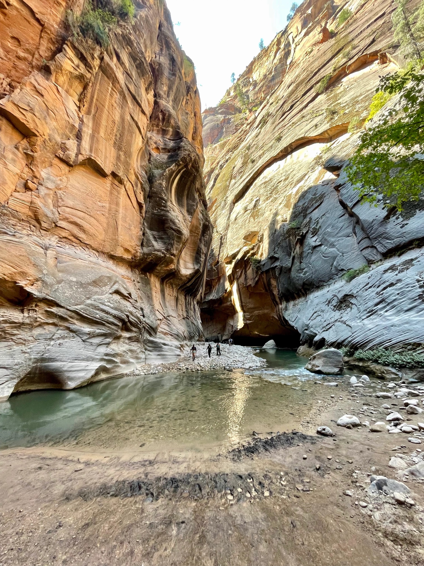 Tall sandstone canyon walls surrounding a calm green pool and rocky shoreline in the Narrows at Zion National Park.