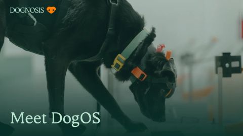 A Dognosis detection dog wearing DogSense at SniffSpace, with the title Meet DogOS