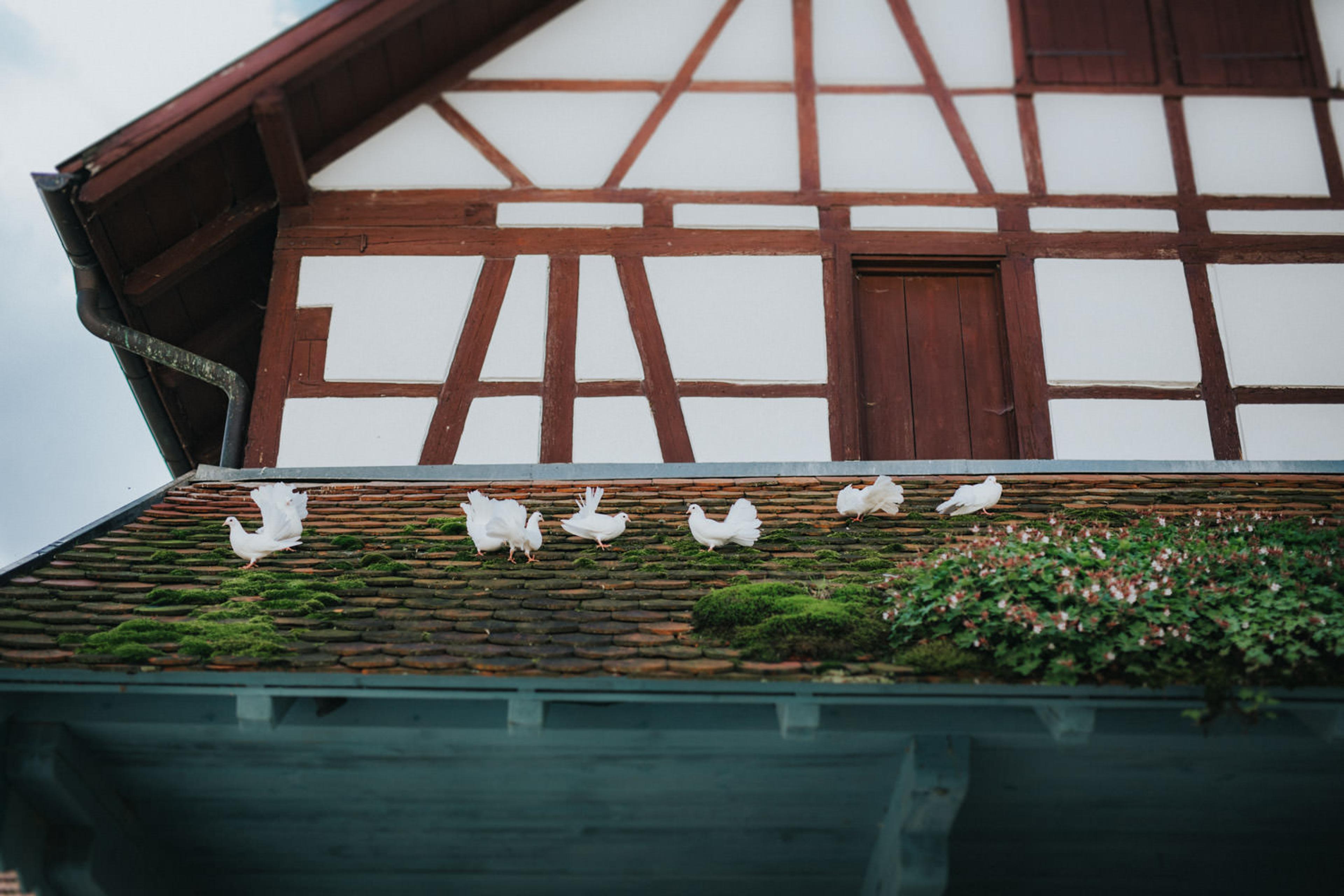Anna & Marc — Bild 5