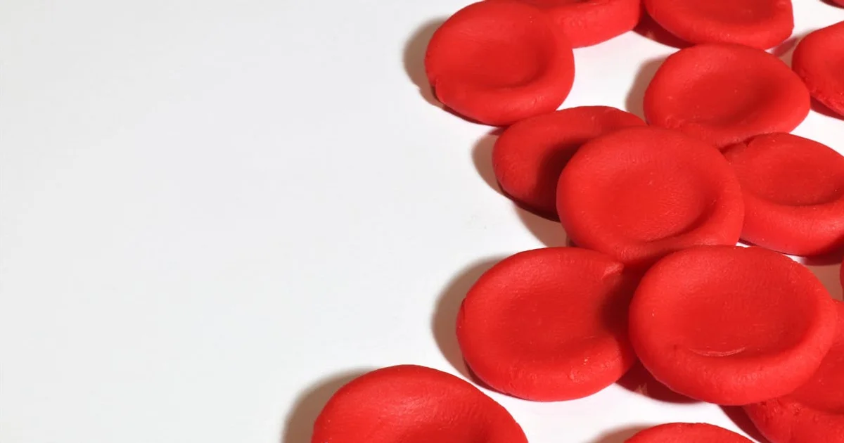 Absolute Monocytes: What Your Count Means and How to Track It. Stock photo via Pexels (Roger Brown).