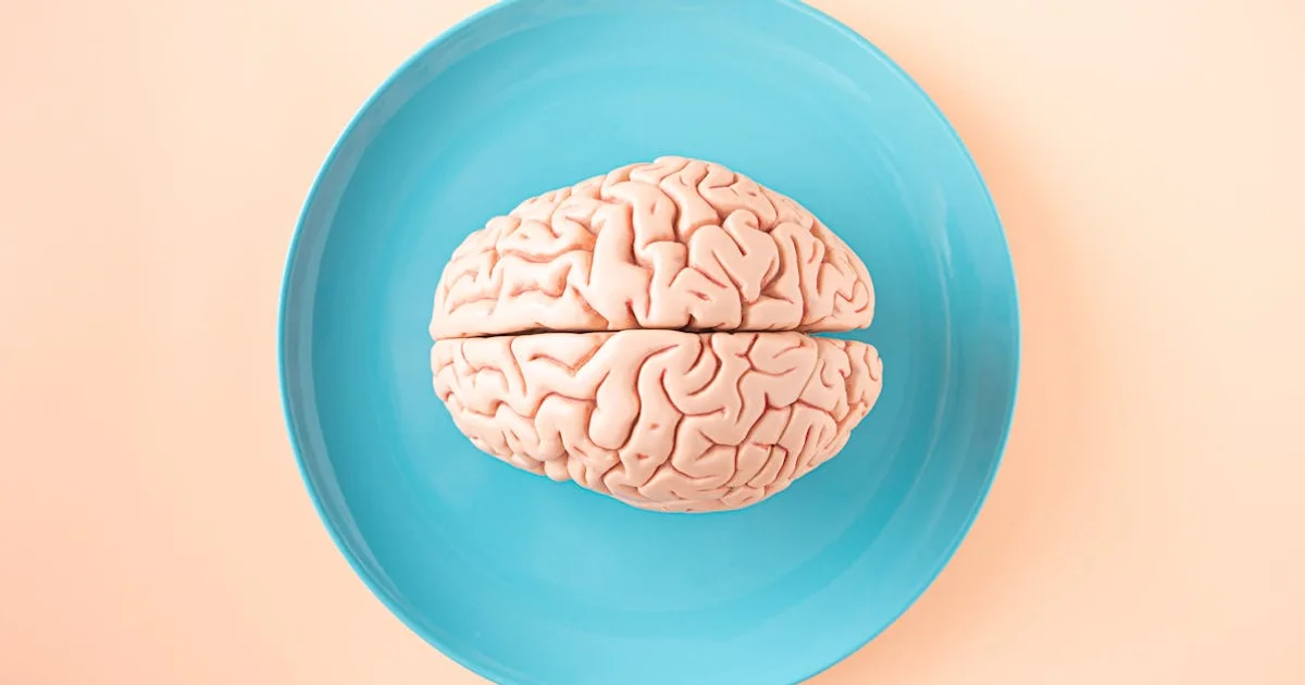 Noopept and Brain Health: Which Labs to Monitor and Why. Stock photo via Pexels (Amel Uzunovic).
