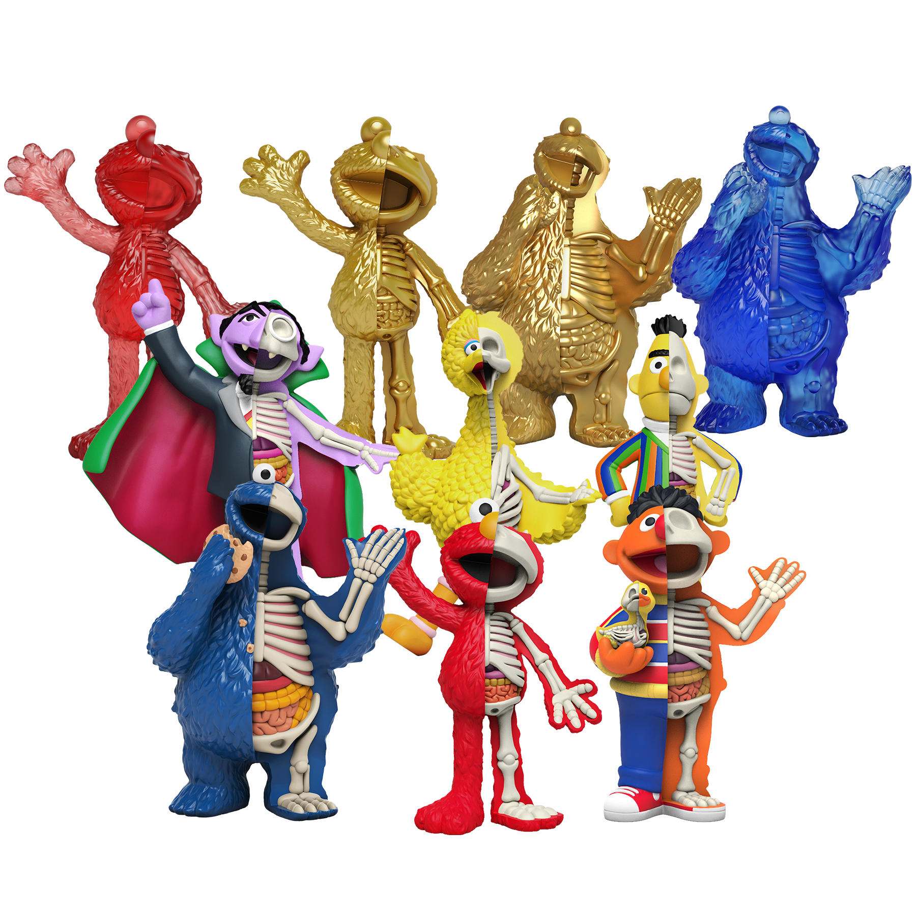 フィシオエナジェティック　内臓テストキット Freeny's Hidden Dissectable - Sesame Street | Mighty Jaxx