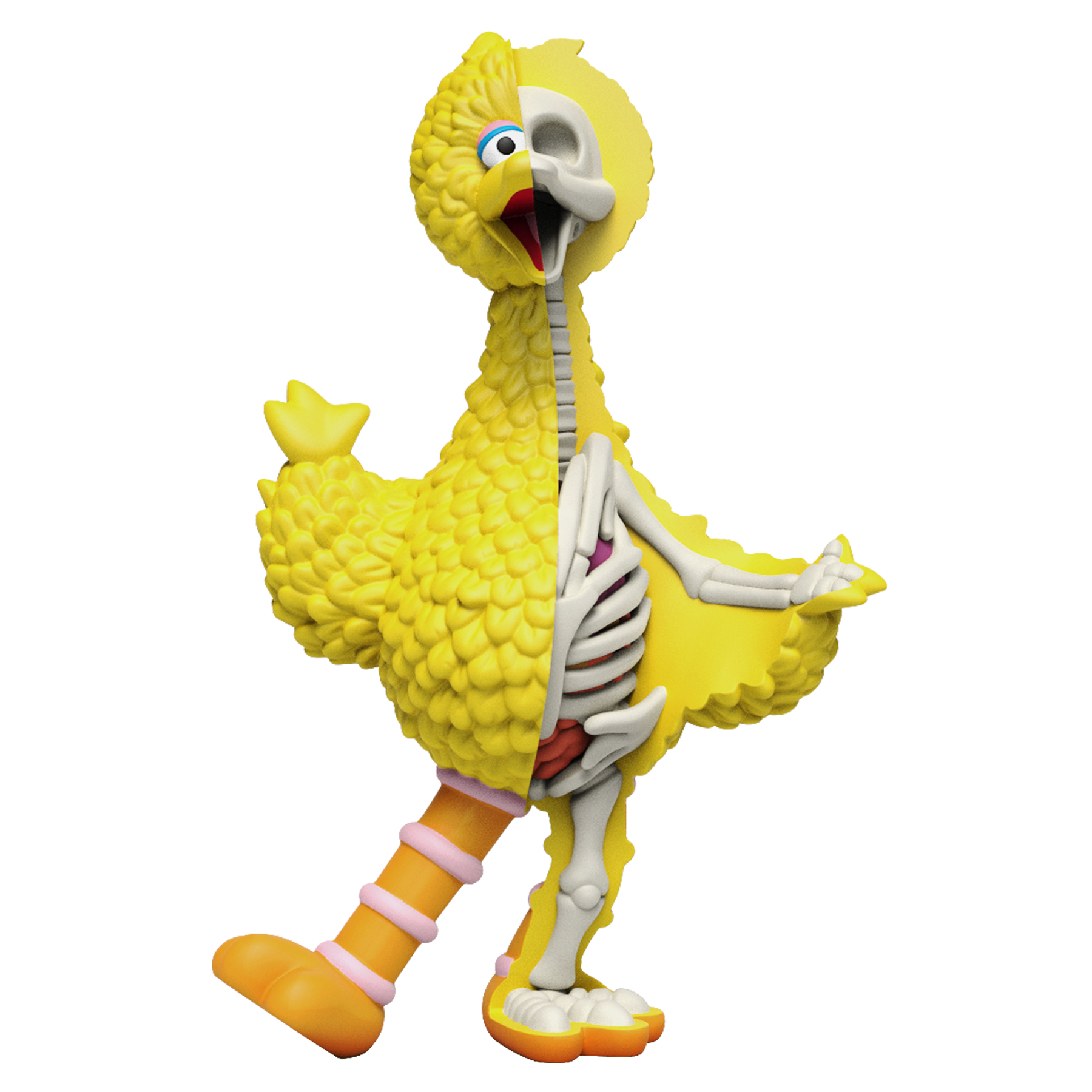 Freeny's Hidden Dissectable - Sesame Street | Mighty Jaxx