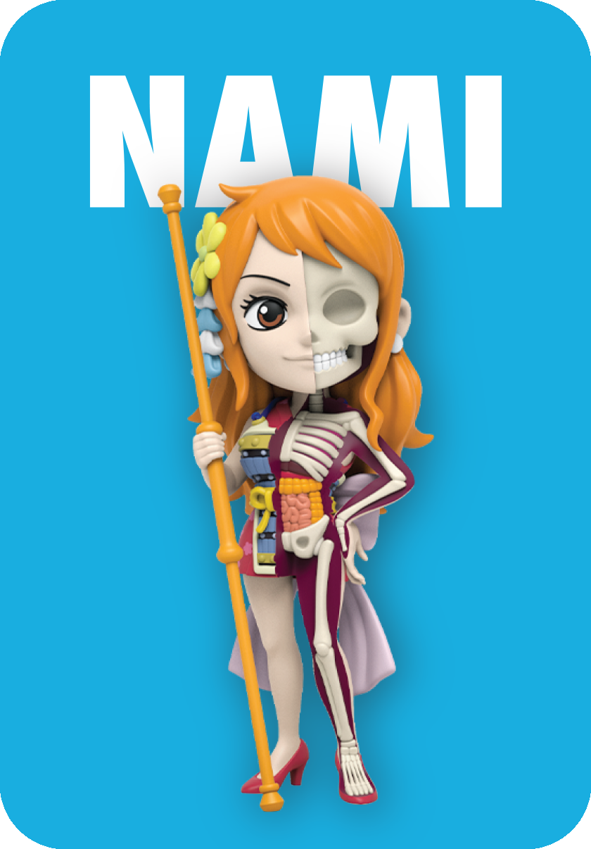 ワンピース ODICE THEODORIC.dy（セオドリックディ） ワンピース ウェストベルトシャツ