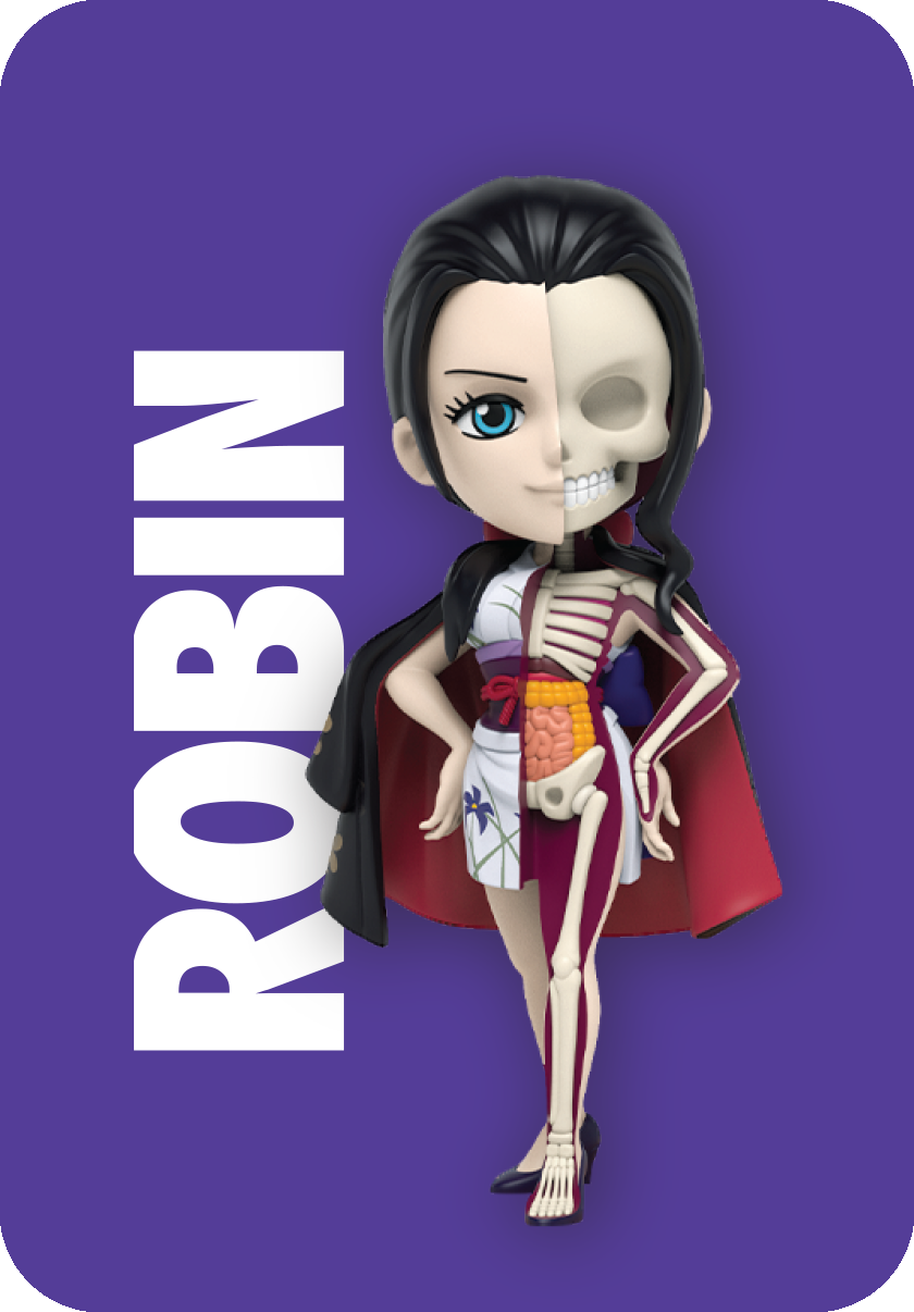 Freeny's Hidden Dissectibles: One Piece (Ladies Edition) | Mighty Jaxx