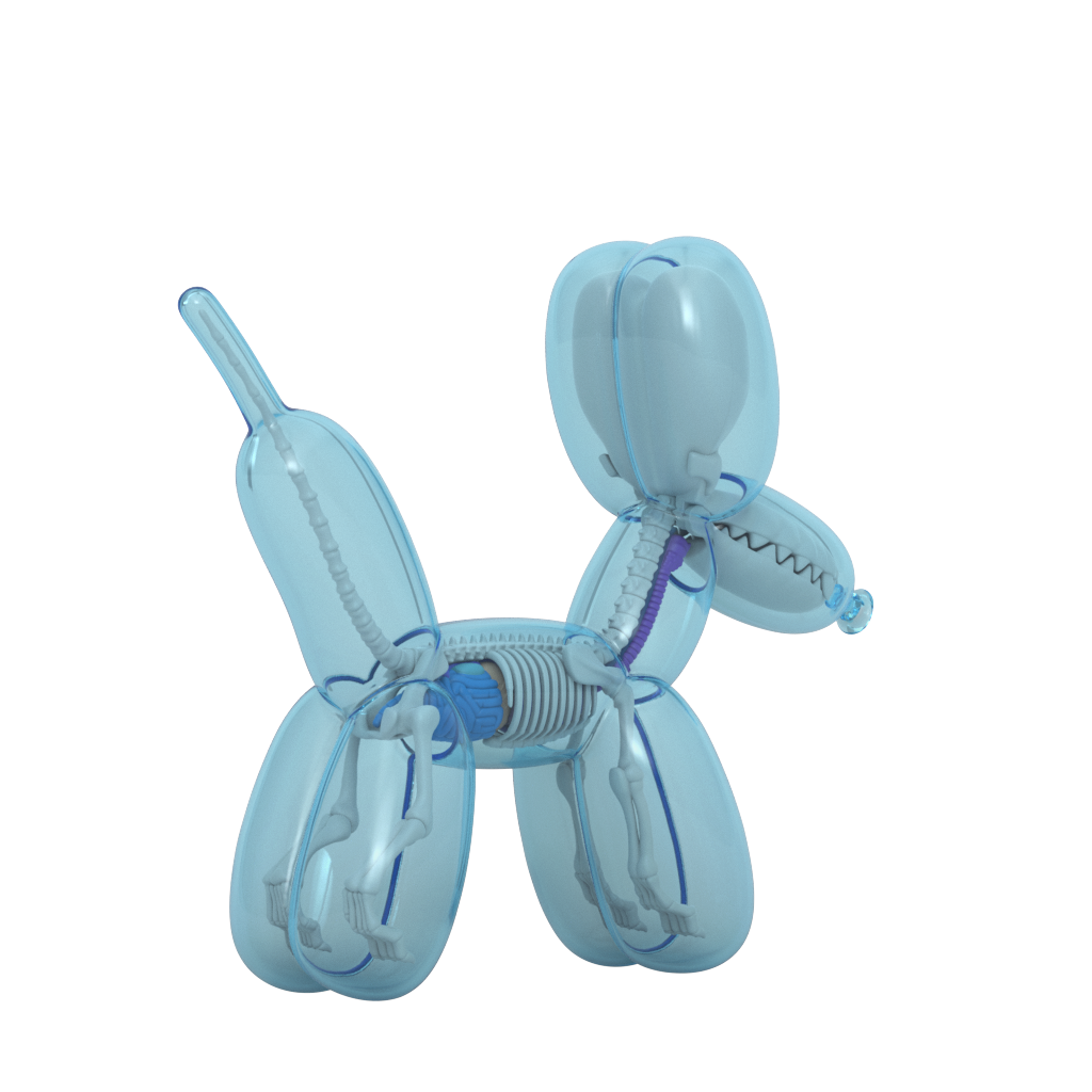 ノベルティグッズ BALLOON DOG FUNNY ANATOMY JASON FREENY f047d2787e94f9ca608395790c1ce8