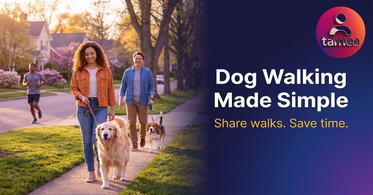 How to Organize Dog Walking in Your Neighborhood