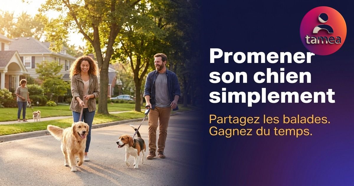 Organiser les promenades de chiens entre voisins