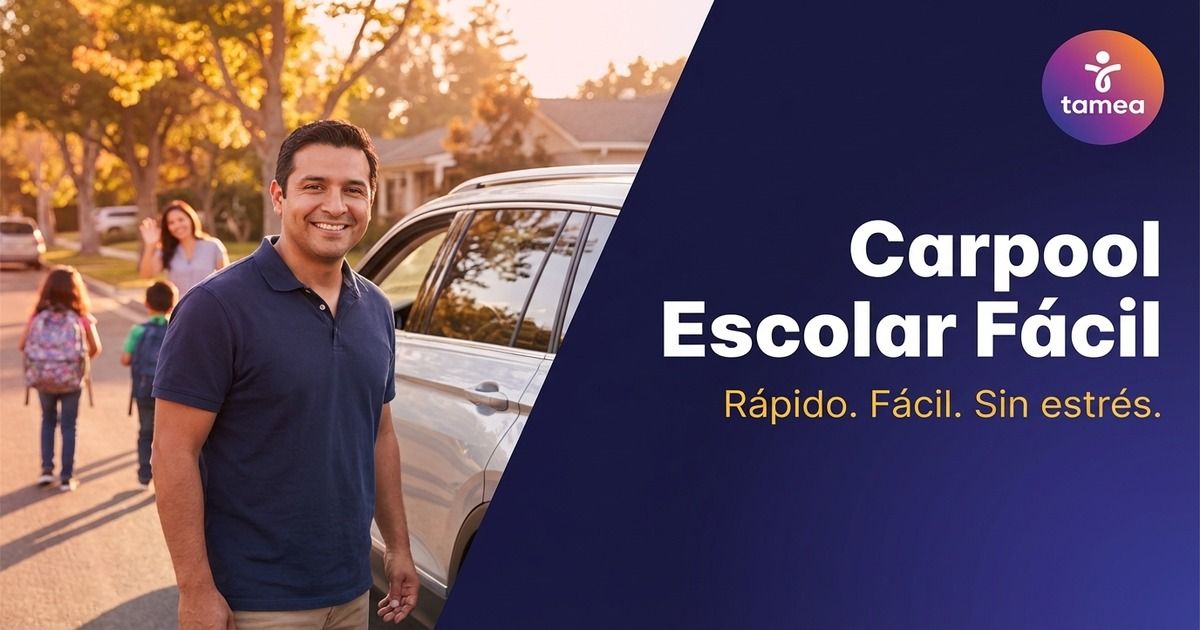 Organizar un coche compartido escolar: guía completa y práctica