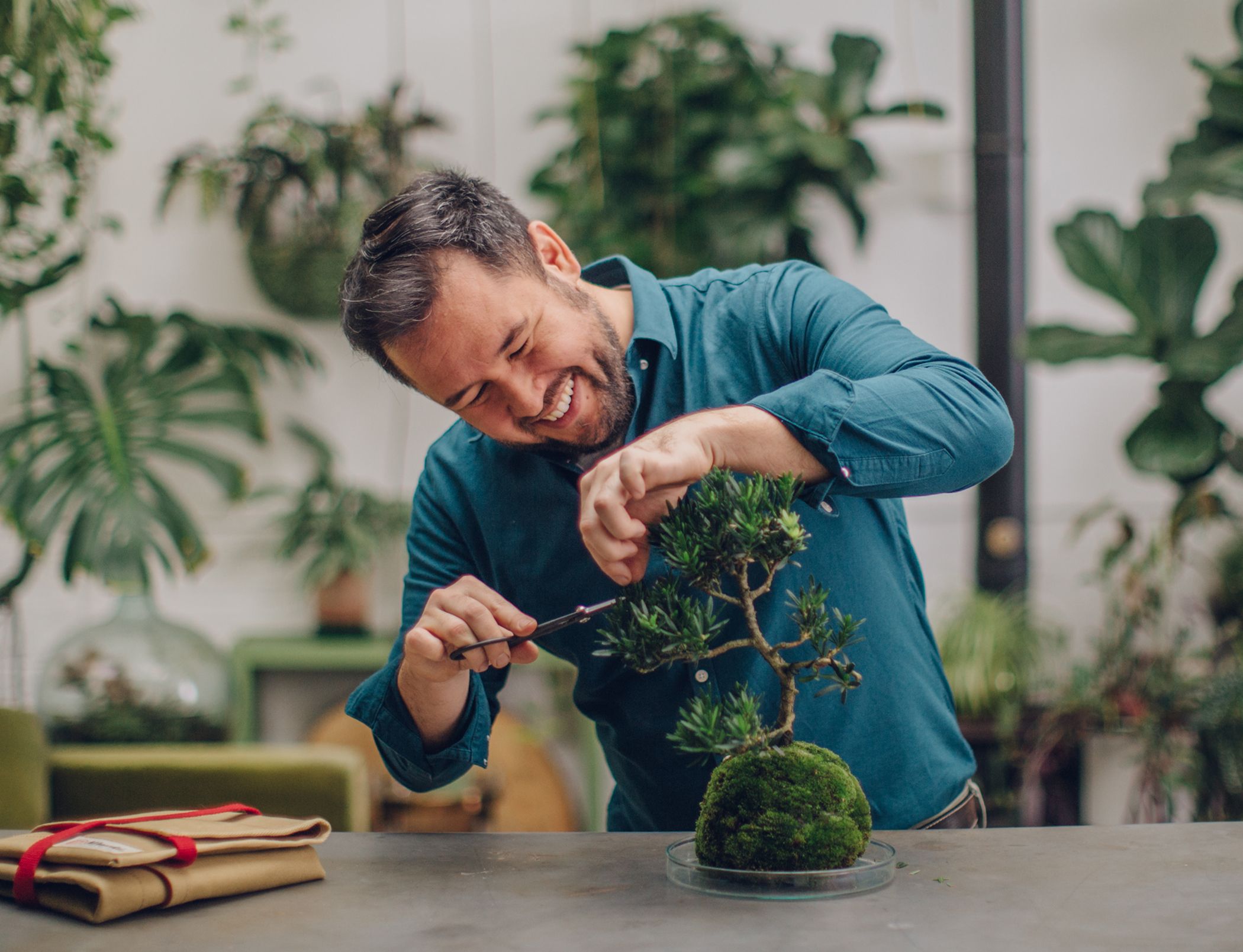 Indoor Gardening Masterclass