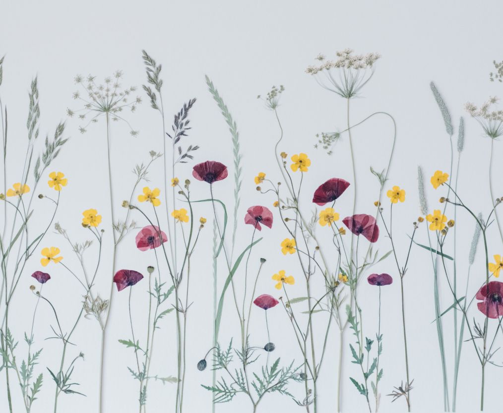 Botanical Arts & Flower Pressing Courses