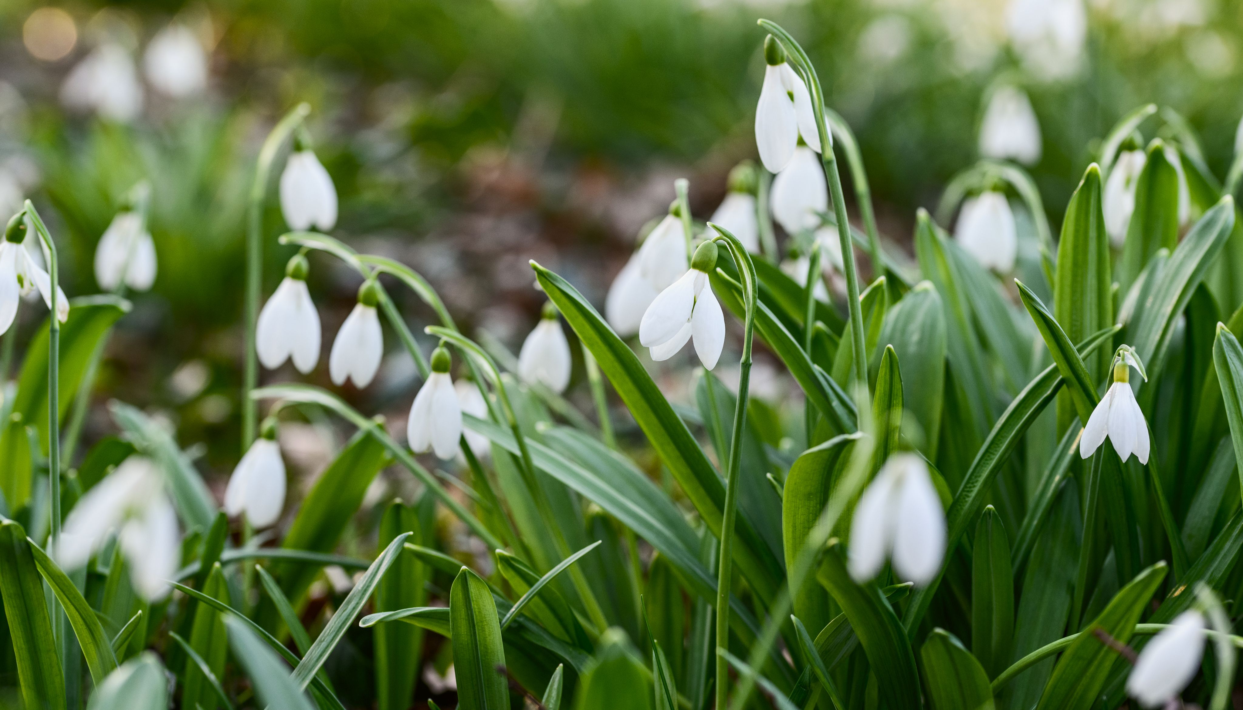 15% Off Creative Courses