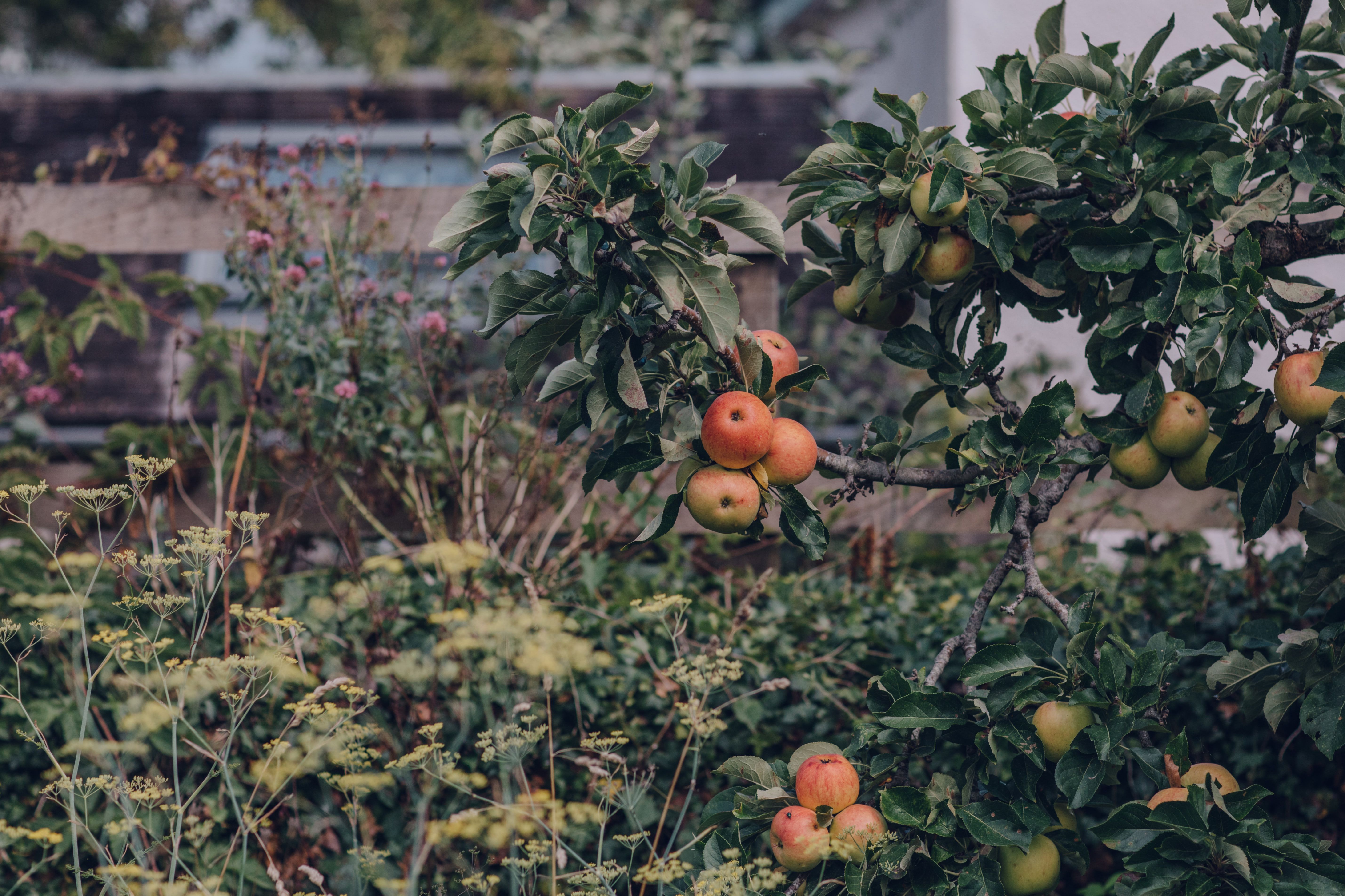 15% Off Creative Courses