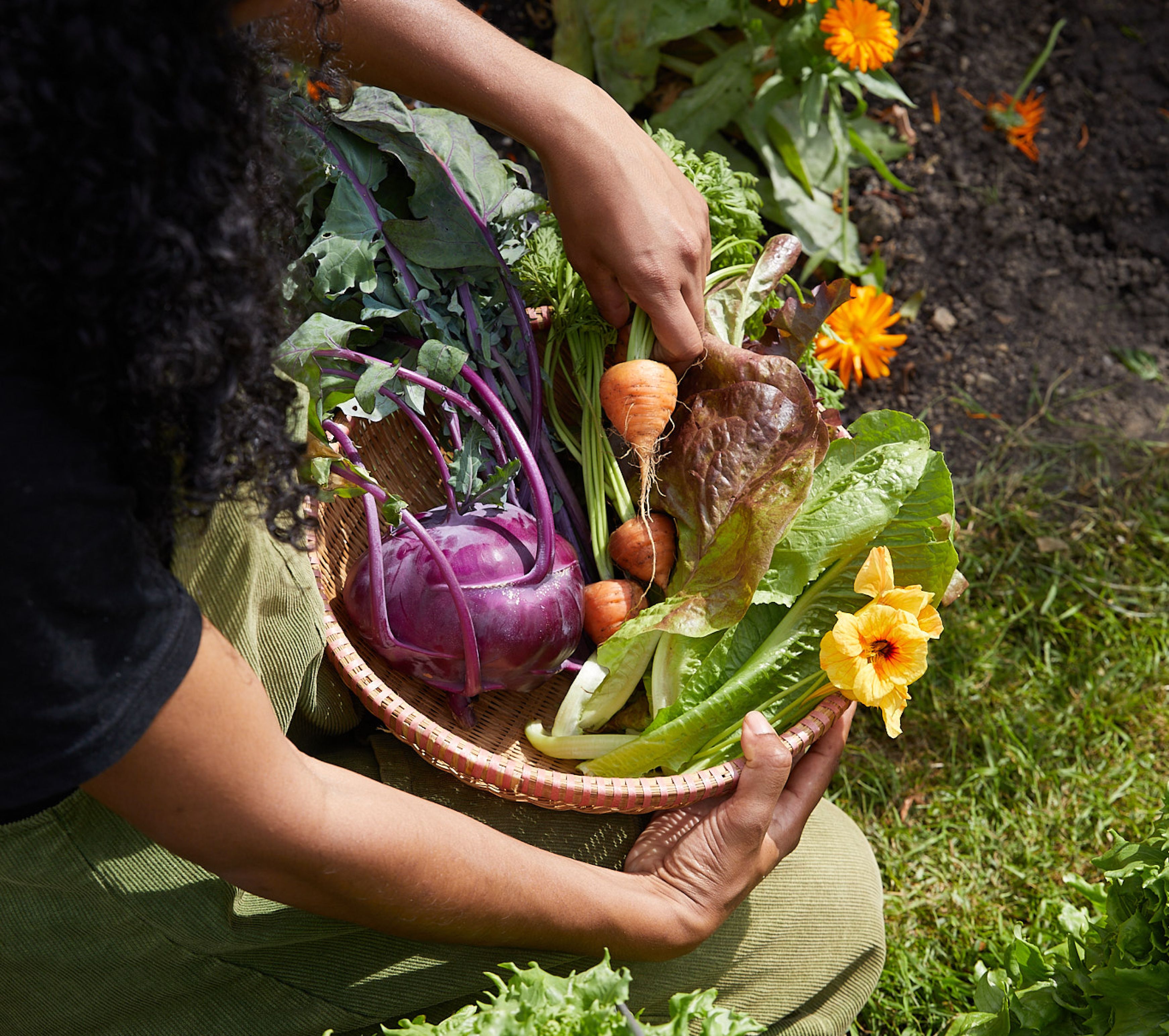 Grow your own food courses