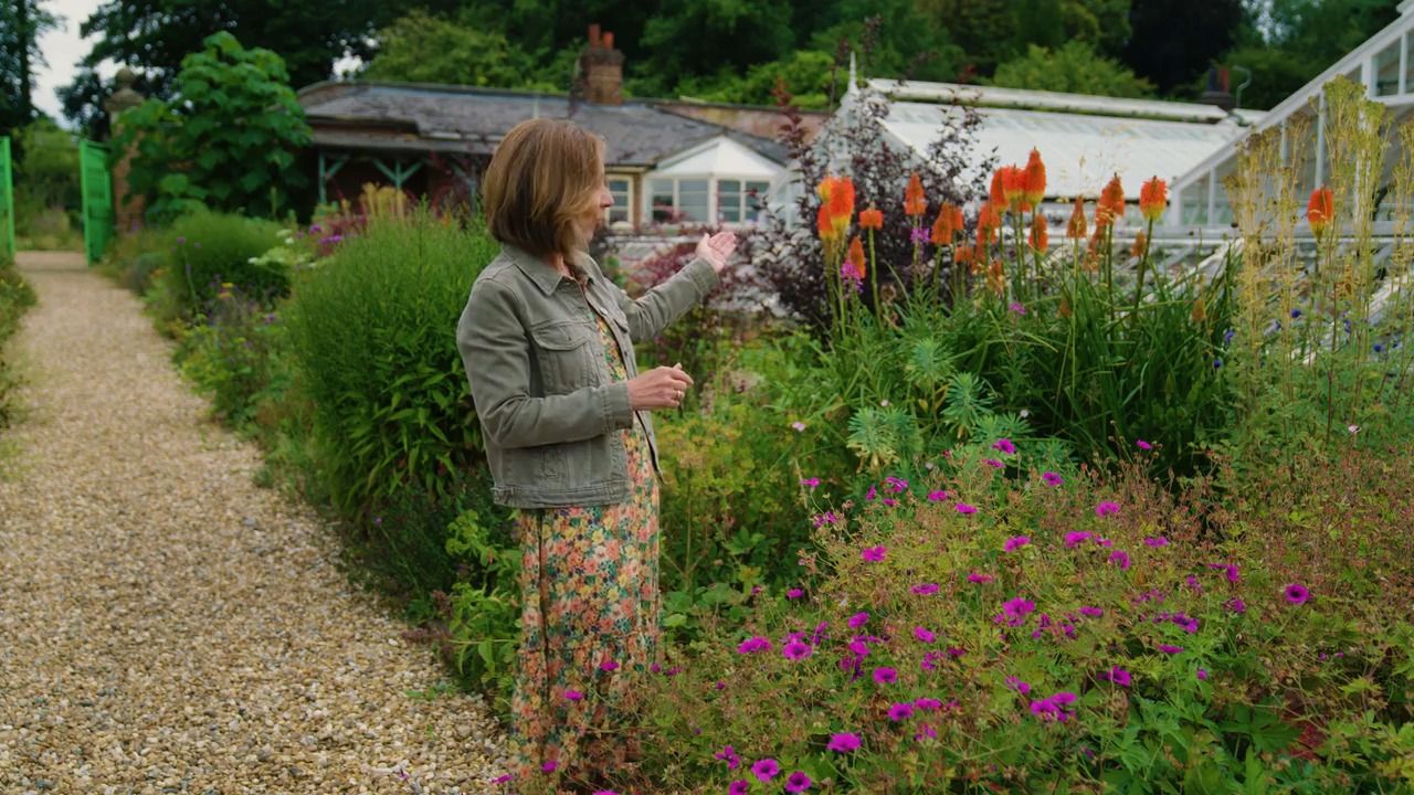 Perennial borders - the basics