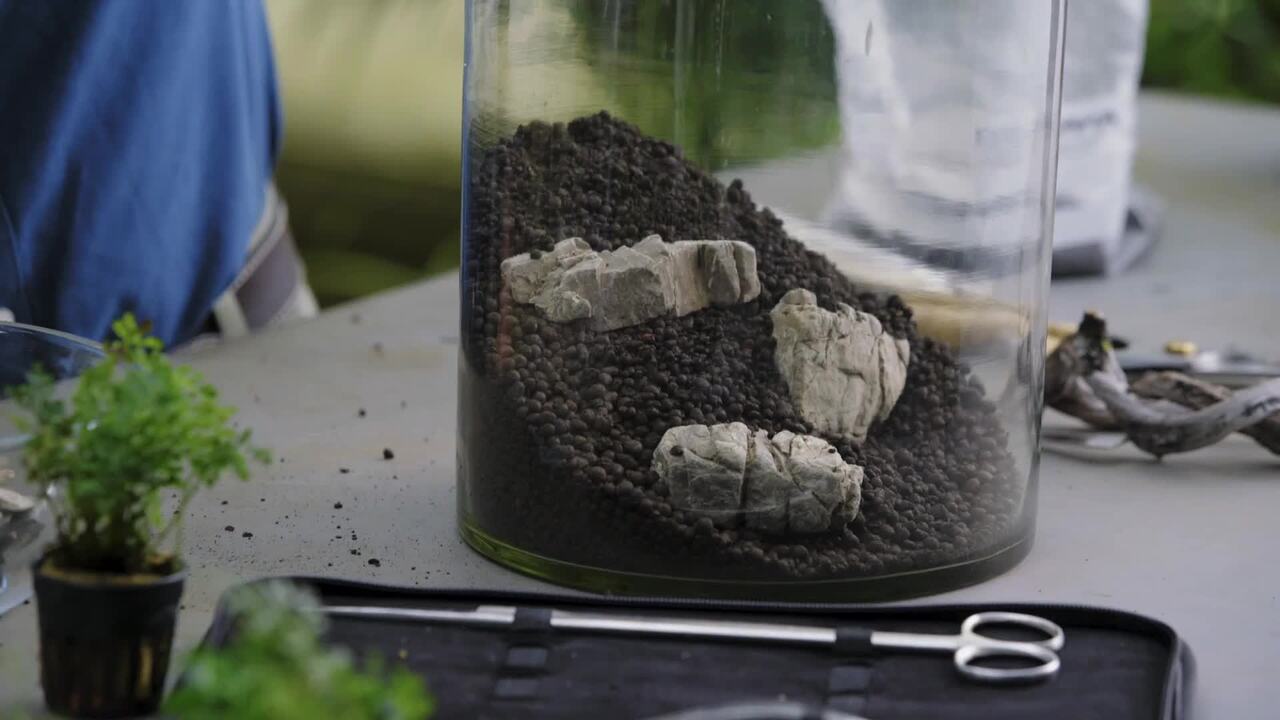 Terrariums - part 1