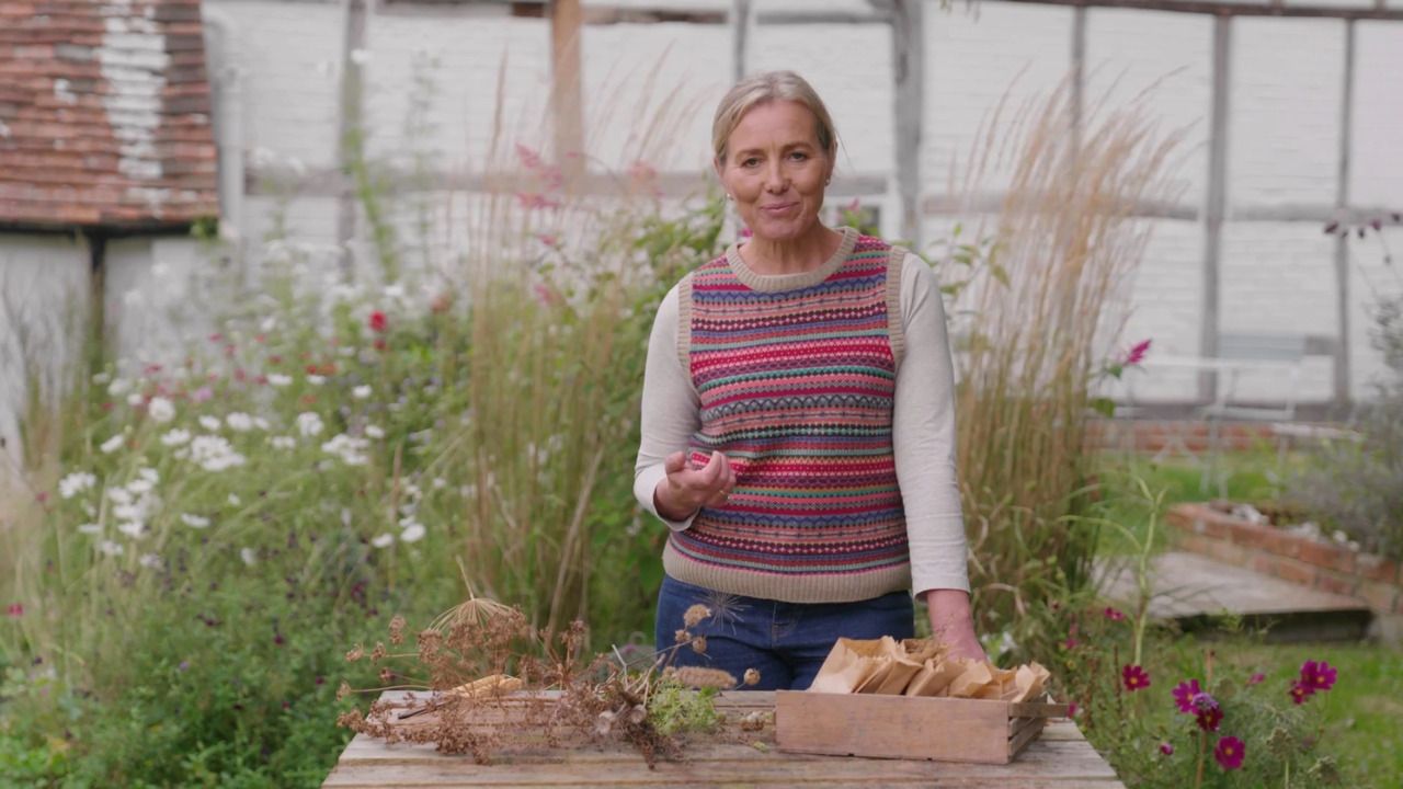 Collecting seeds: the theory 