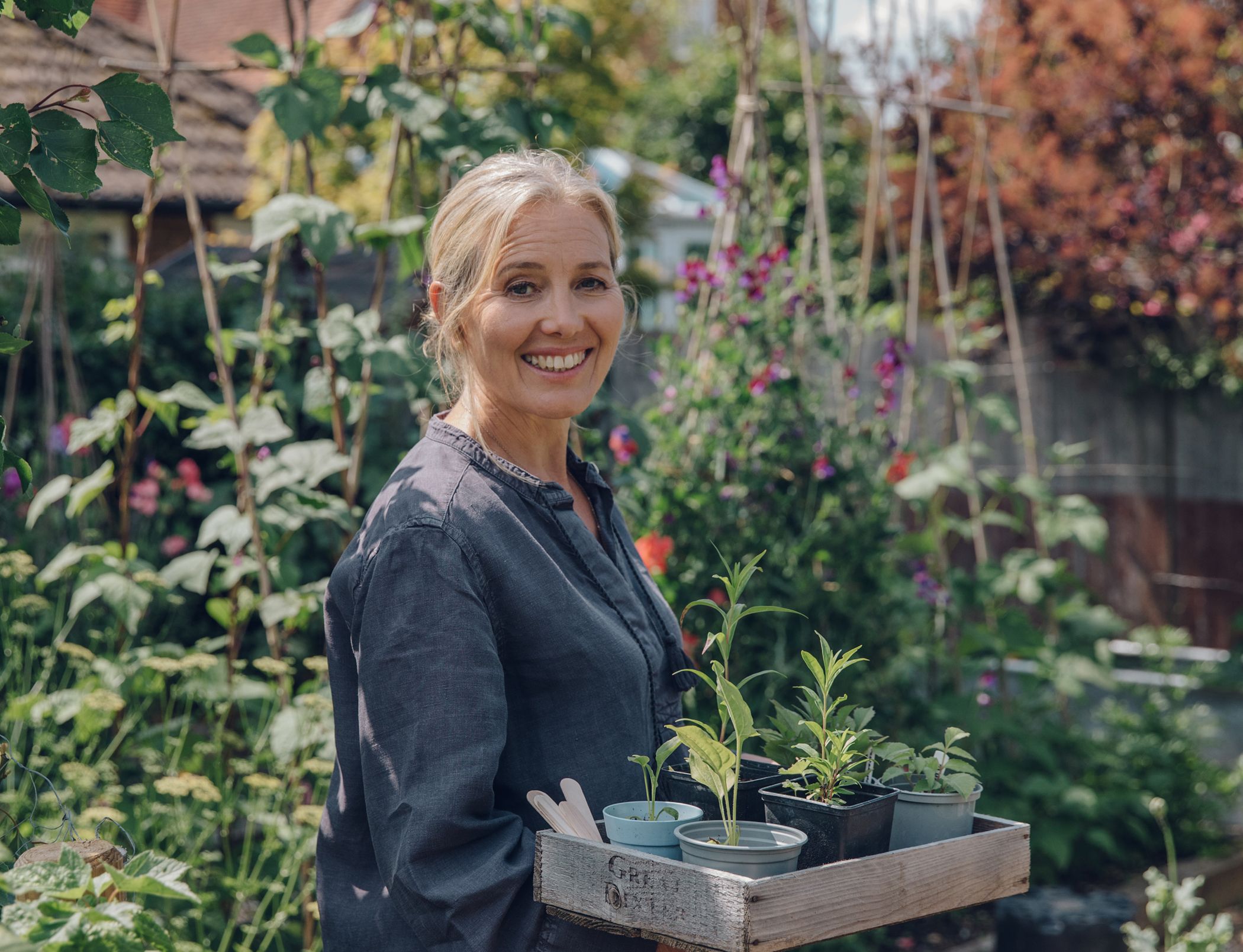 How to Grow Flowers from Seed