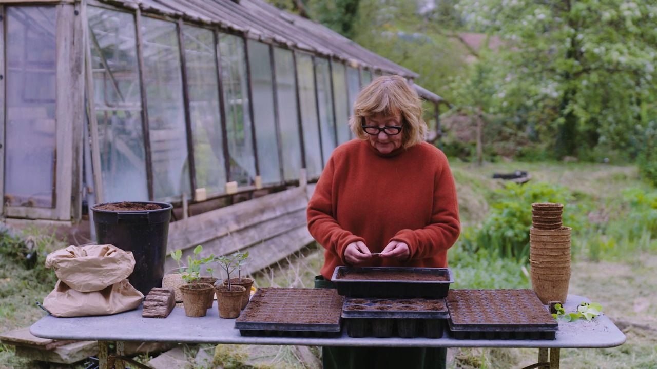 Seeds - Part 2: Getting ready to sow