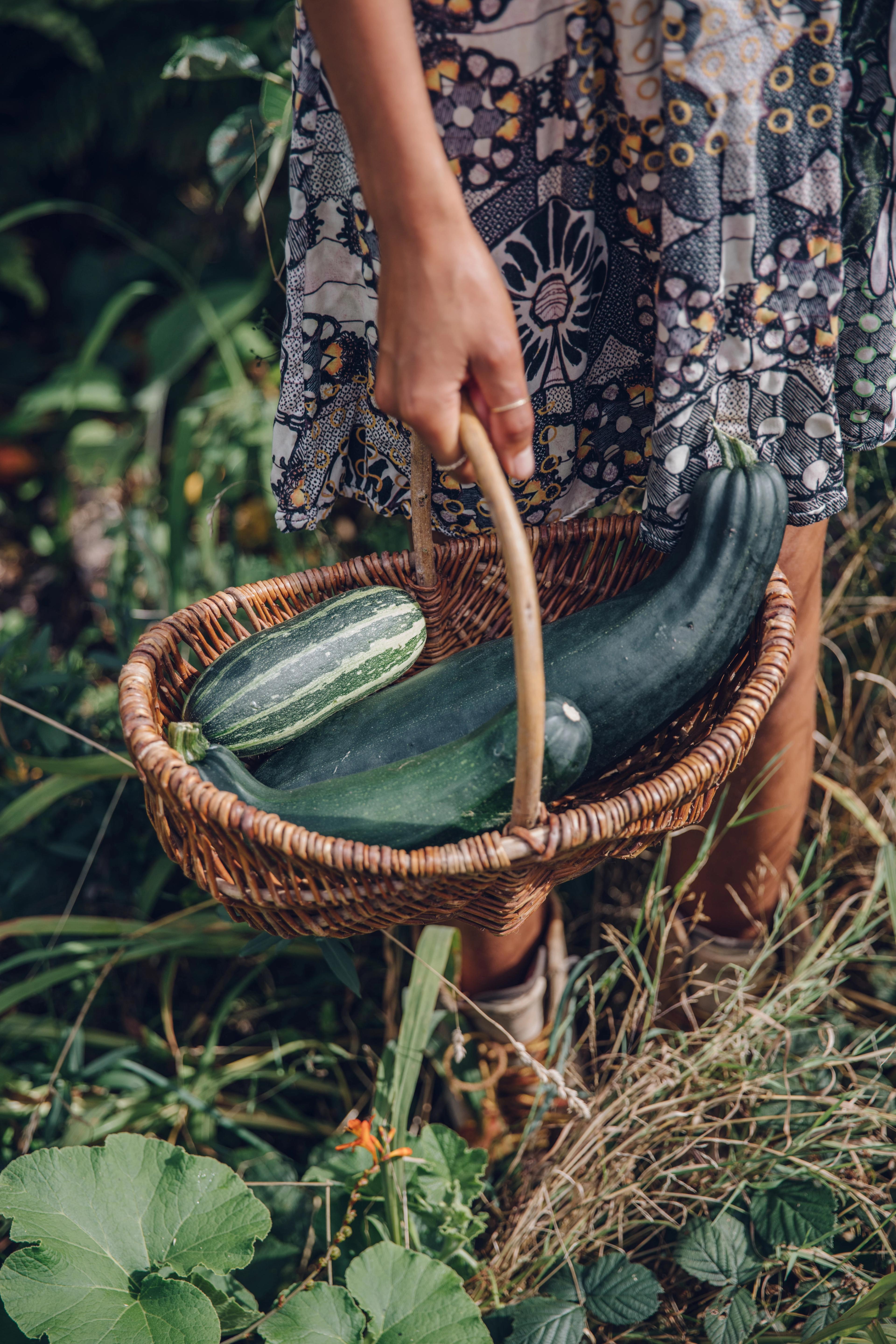 Discover an abundance of garden tasks to keep you busy during the summer sunshine this July.