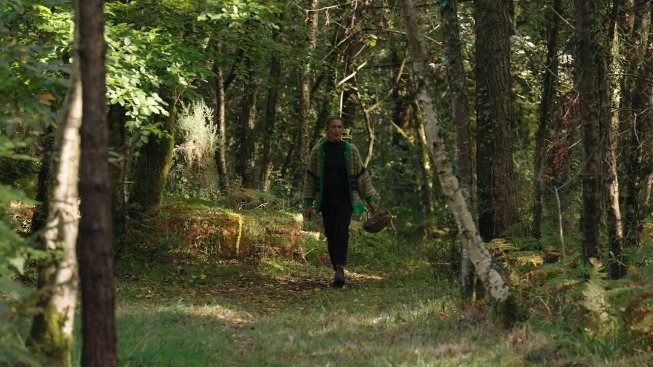 Foraging responsibly for materials