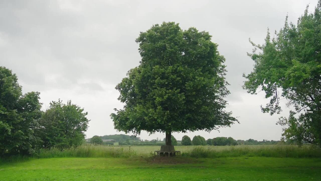 The building blocks of design