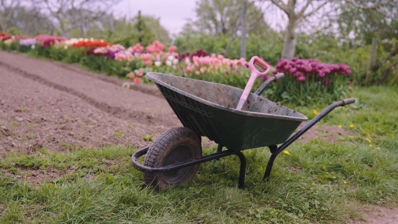 What to consider before you start 