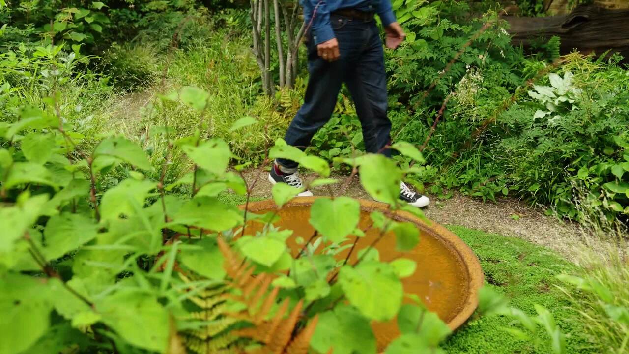 An Expert Guide to Planting Design