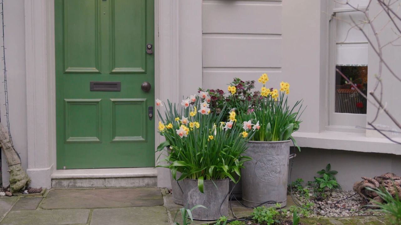 Planting design - Butter's favourite bulbs