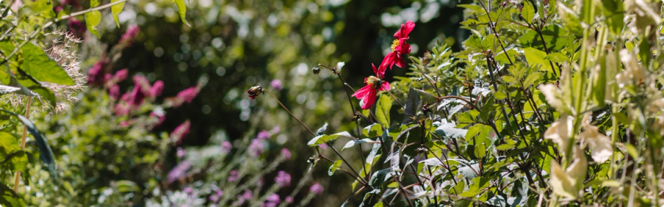 Arthur Parkinson is back! promotional background