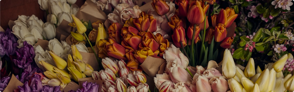 Learn a new skill this season promotional background