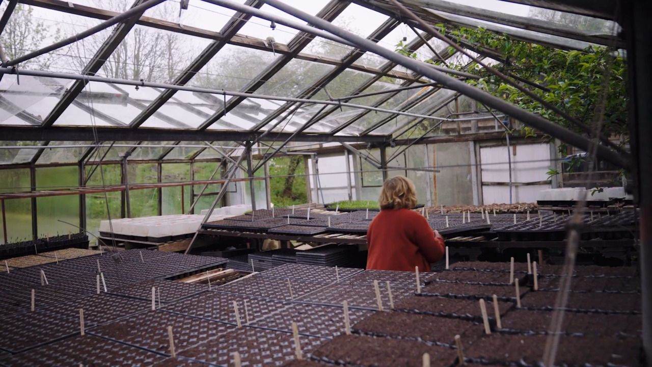 Seeds - Part 3: The propagating greenhouse at Fern Verrow