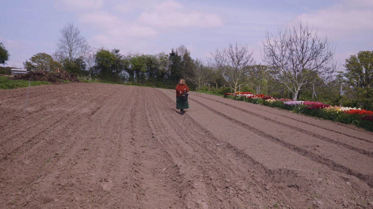 Biodynamic growing - Part 2: Preparation 500 