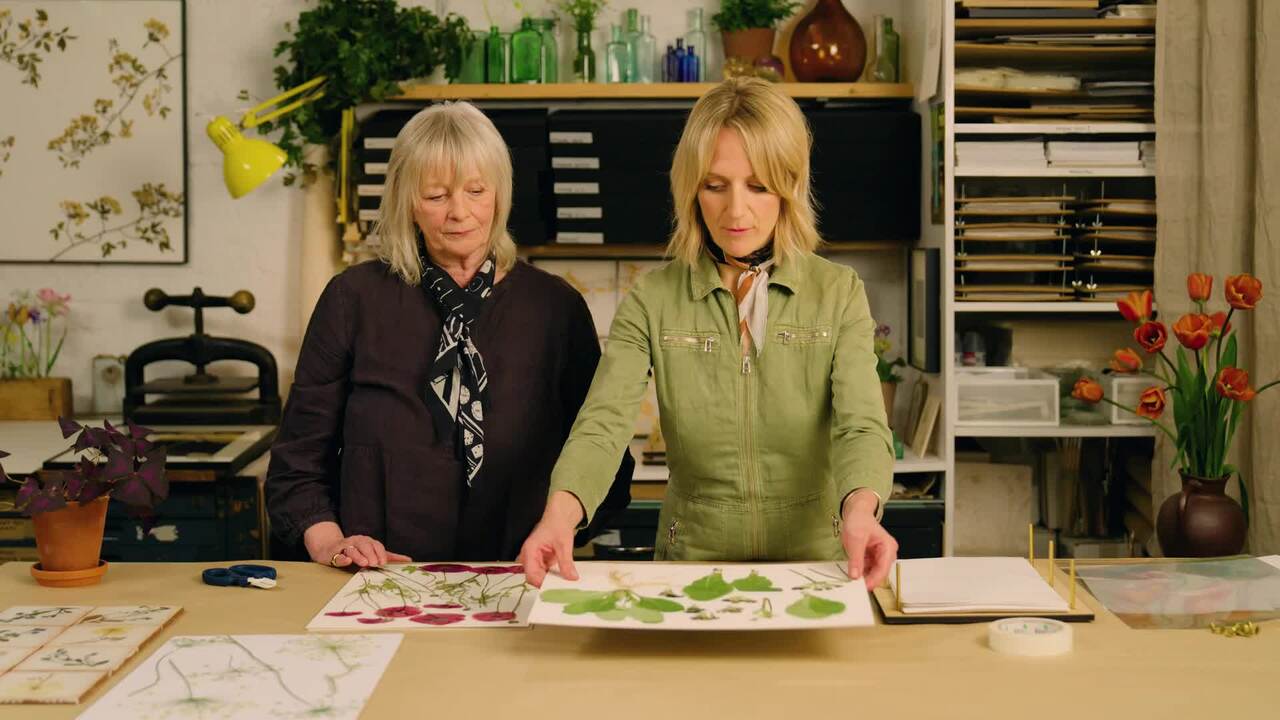 Storing and archiving flowers