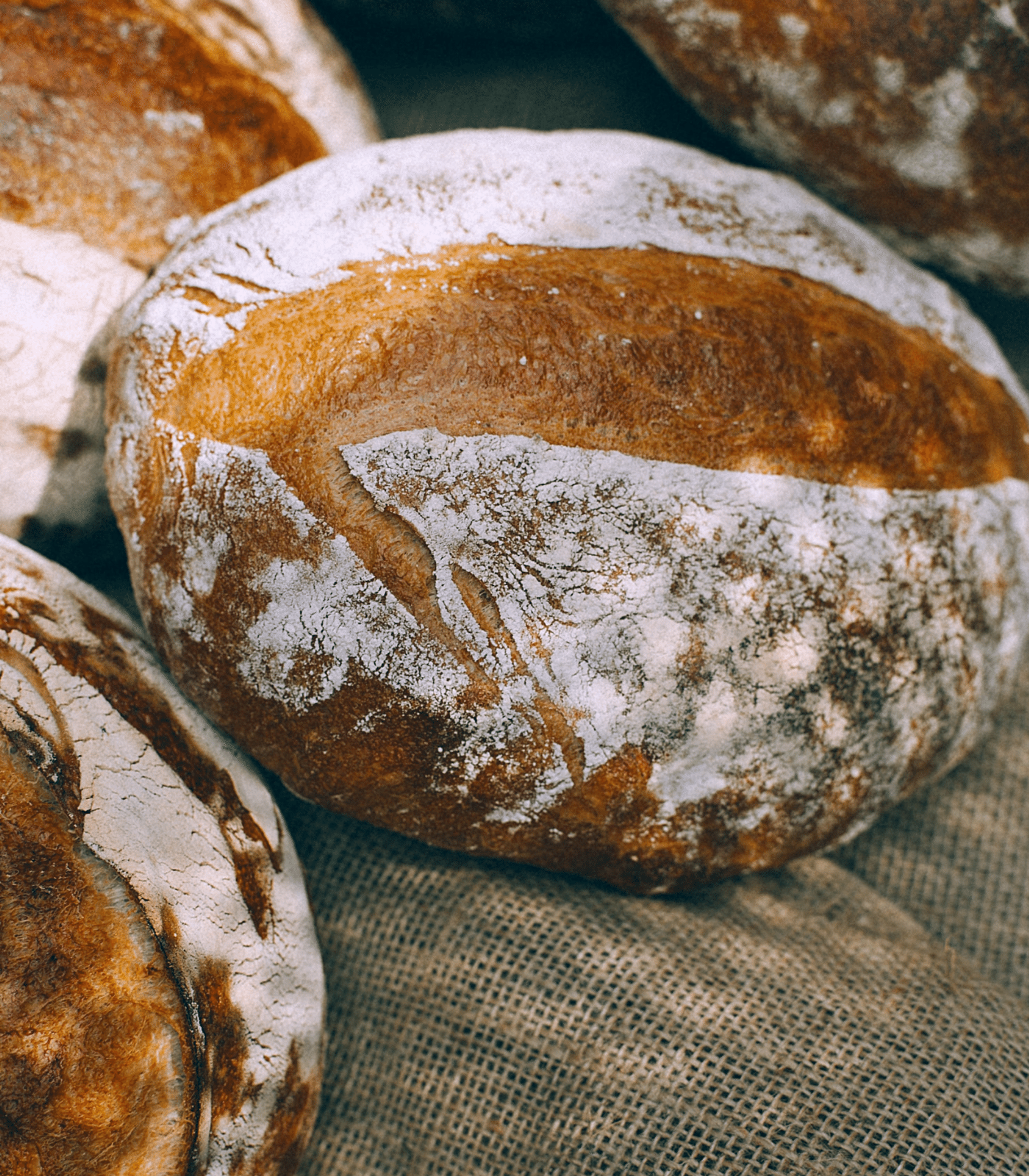 Bread