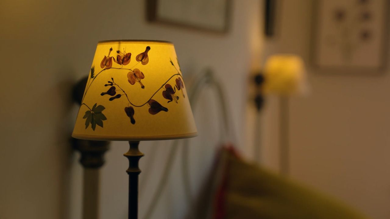 Make a pressed flower lampshade - Part 2: Gluing your pressed flowers