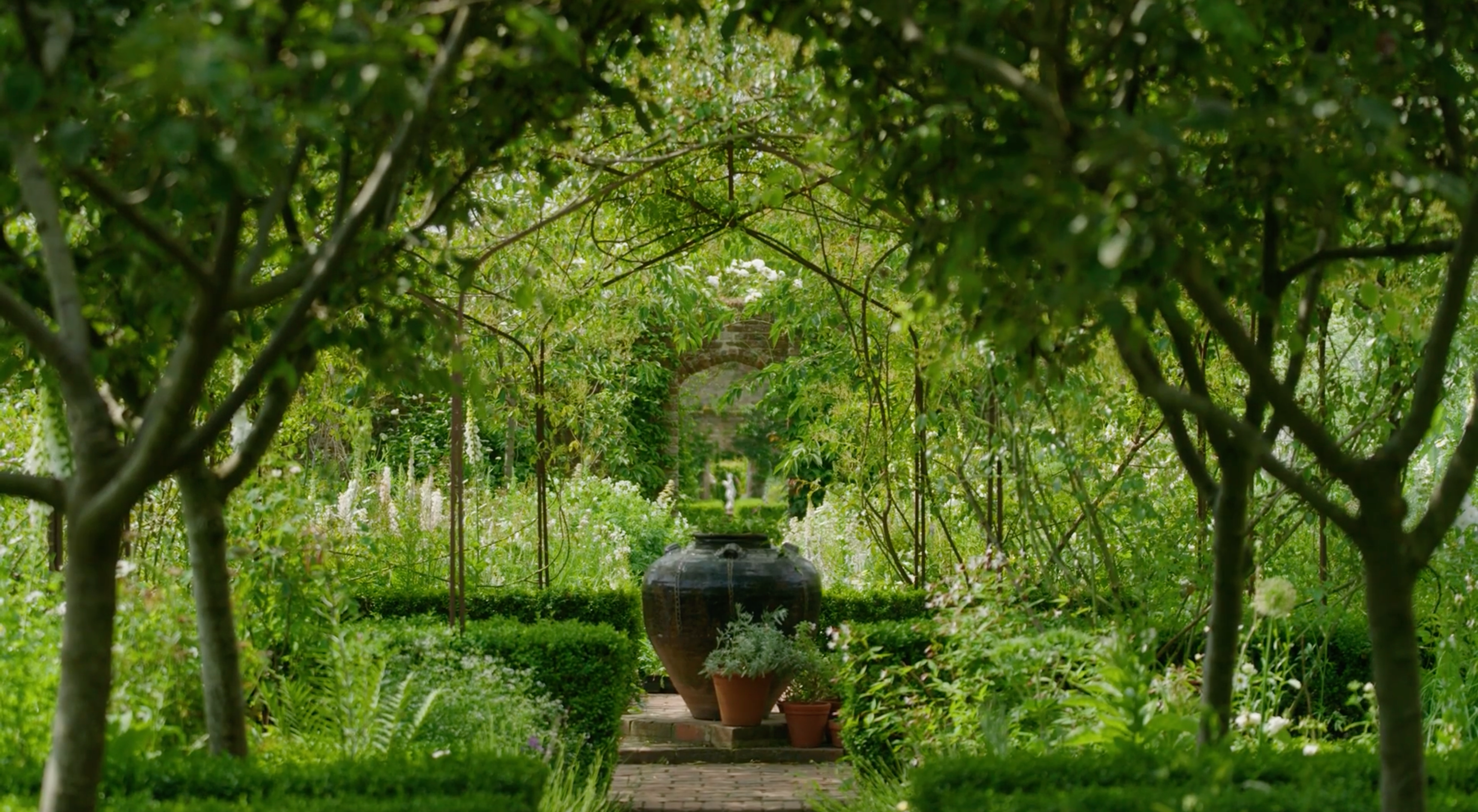 Adding cosmos to the White Garden