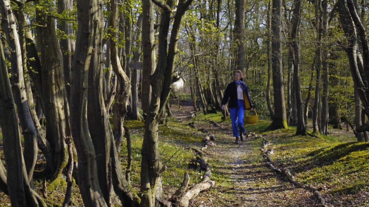 Molly's inspiration: nature part 1