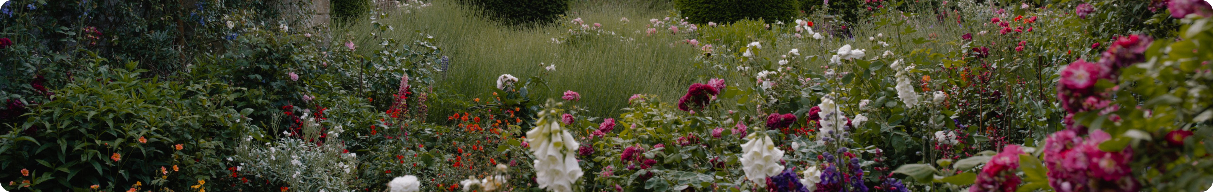 SALE promotional background